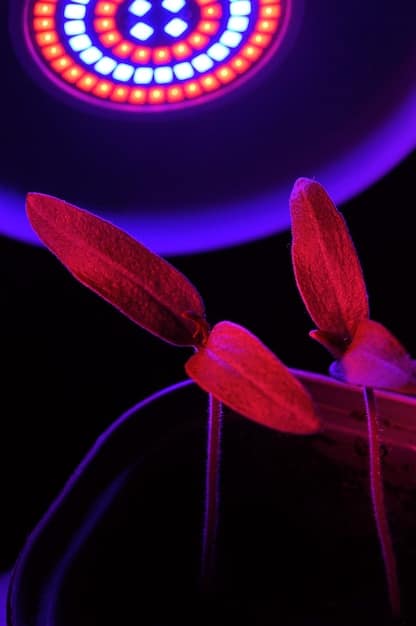A close-up shot showcasing the lighting setup for a pivotal scene in [Show Title]'s finale. Focus on the placement of lights and the color gels used to achieve the desired emotional effect.